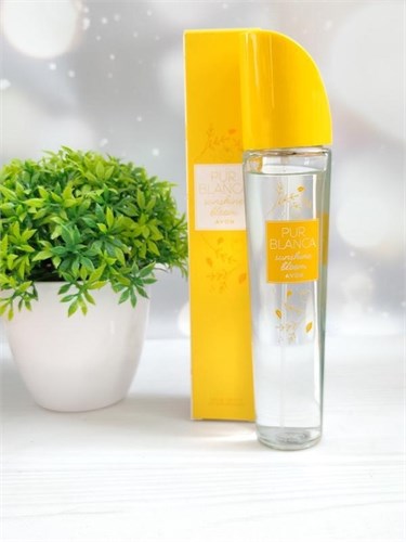 Туалетная вода Pur Blanca Sunshine Bloom 50 мл 1526440 - фото 4743