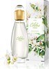 Туалетная вода Avon Celebre Fresh 50 мл 1491556 - фото 4732